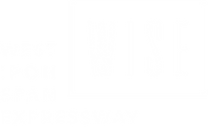 Wise logo